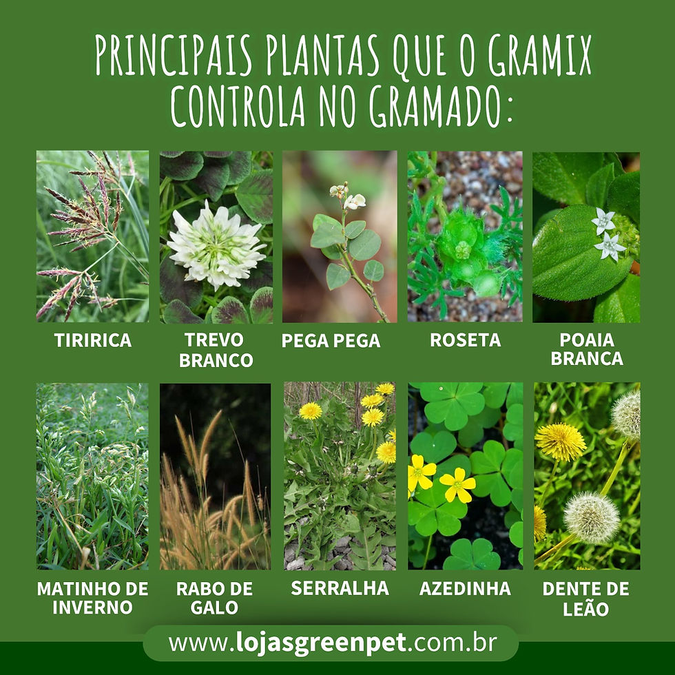 Miniatura: GRAMIX SPRAY PRONTO USO 500 ml- DEXTER LATINA 