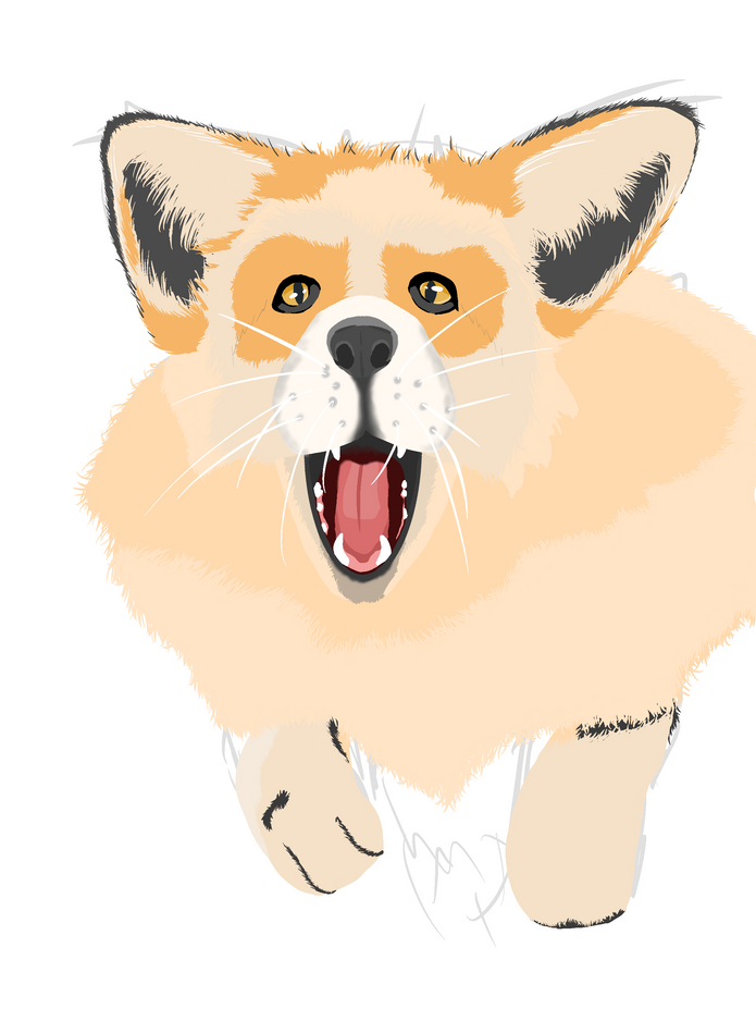 fox progress.png
