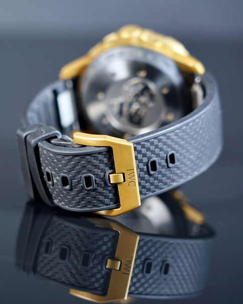 IWC Aquatimer Charles Darwin