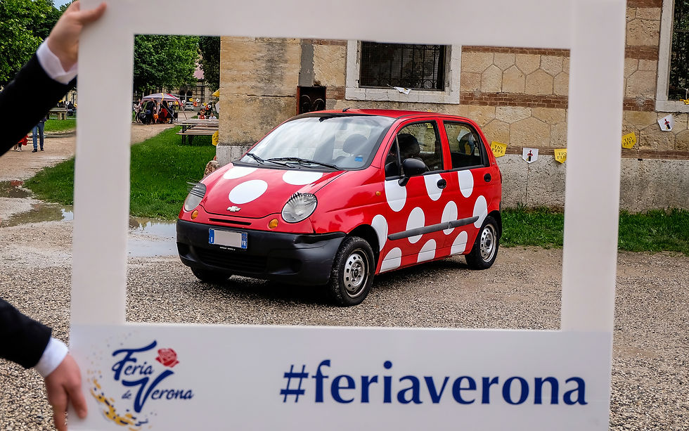 La Matiz Flamenca esposta alla Feria de Verona 2019