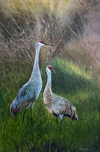 Tallgrass Sandhill Cranes.jpg