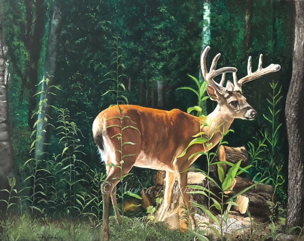 eZy Watermark_28-01-2026_01-41-16-1730PM.jpeg