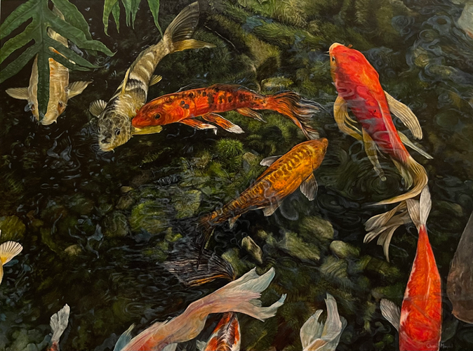 Koy Fish 1.HEIC