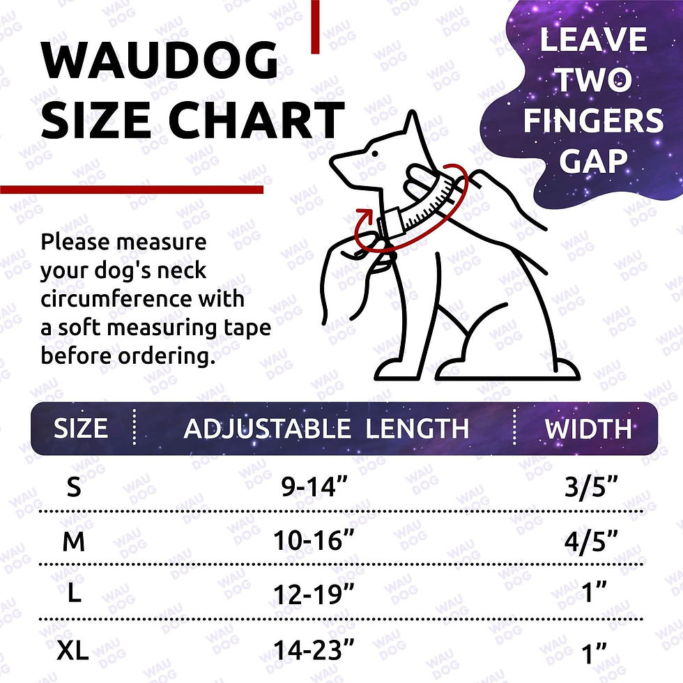 Miniatura: Nylon Dog Collar Adjustable for Small Medium Dogs 916 in Neck x 4/5 in NASA