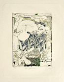 Gravura em metal do artista Wesley Duke Lee, do álbum "BRINK ABRAK". Obra composta por folhagens e elementos abstratos, nas cores azul, branco e verde. 