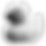 rubber duck