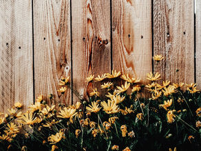 DIY schutting plaatsen: hoe maak je zelf een tuinschutting