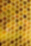 DSC_1032_edited_edited.jpg