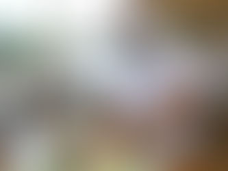 Brazo solidario de Administración Hernández ha ayudado a 5,4 millones de hondureños con Vida Mejor