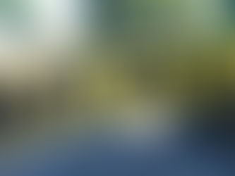 Encuentran dos cuerpos sin vida en carretera a Olancho