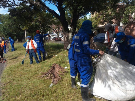 AMDC interviene más de 15 zonas de la capital en combate del dengue