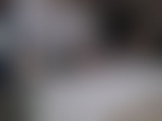 Misión de observadores internacionales brindo informe sobre elecciones primarias