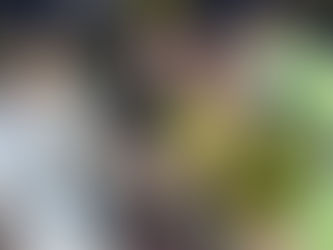 Colombia empata al último minuto con Argentina