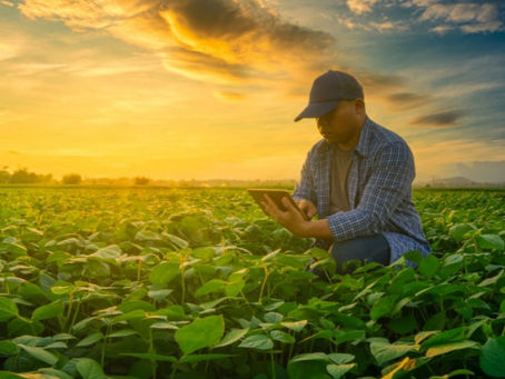 Agroparques, para incrementar la productividad y competitividad agroalimentaria en Honduras