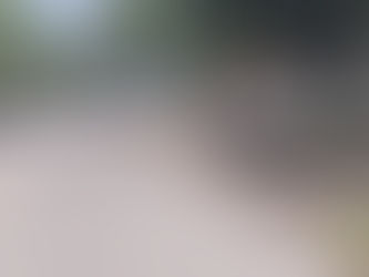 Encuentran tres hombres muertos en automóvil