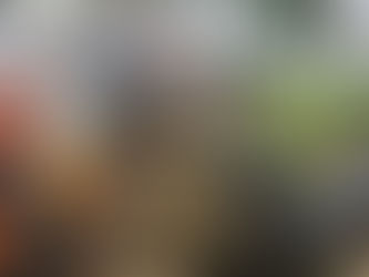 Tormenta ETA aún no ingresa a Honduras y el país es un caos