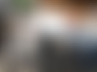 Comienzan a llegar maletas electorales del Distrito Central