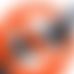 Colegio De Abogados de Honduras propone un desarme general