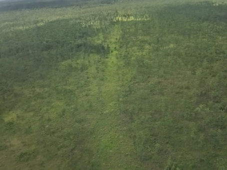 Fuerzas Armadas Inhabilitación área clandestina de aterrizaje