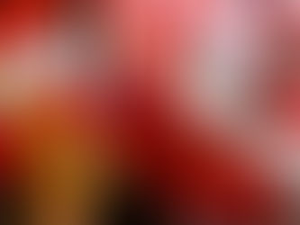 Militantes liberales se adhieren a la candidatura de Xiomara Castro