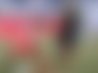 Vida mantiene el liderato del torneo de la liga nacional