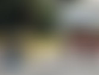 Autoridades venezolanas evalúan protocolos para paso peatonal en frontera con Colombia