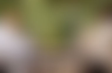 Adele se sincera frente a Oprah