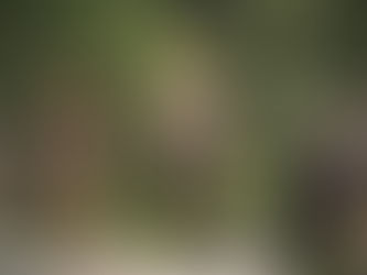 Jumanji 4' ya está en marcha: la nueva aventura con Dwayne Johnson y Kevin Hart
