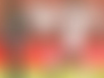 18 goles en la jornada 13 de la liga nacional