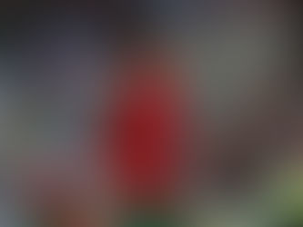 Italia o Portugal uno de los dos se perderá mundial de Qatar 2022