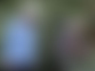 Apoyo histórico del Gobierno ha consolidado la caficultura