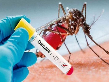 Alarmante aumento en casos de dengue