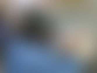 DIGITALIZACIÓN DE LA HOJA DE TRIAJE DE LA EMERGENCIA DE ADULTOS DEL HEU