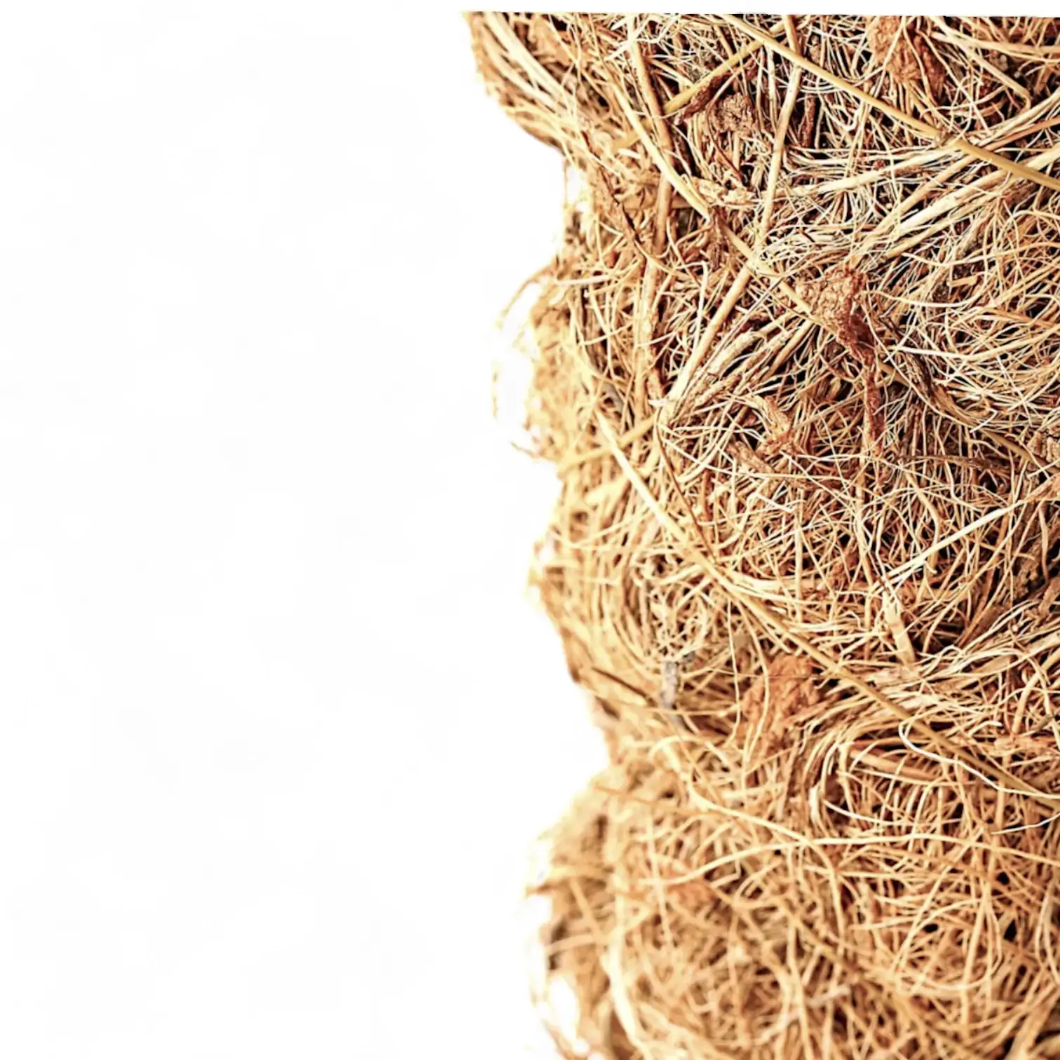 Coco Coir Pole for Climbing Plants