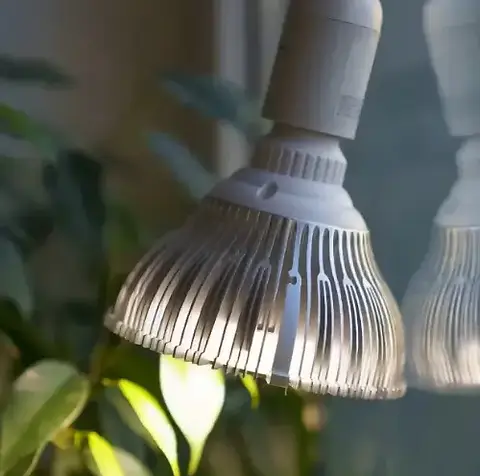 Grow Lights for Indoor Plants: How to Choose, Set Up, and Use Them for Healthy Growth