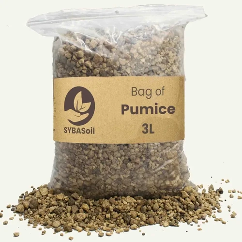 Premium Pumice for Plants Ideal Soil Additive Foliage Factory
