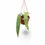 Thumbnail: Anthurium pallidiflorum