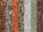 Horizontal row of seven different inert substrates including LECA, Pon, Seramis, pumice, perlite, zeolite, and lava rock.