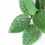 Miniaturbild: Hoya latifolia