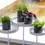 Miniaturbild: Pot Holder with Clamp
