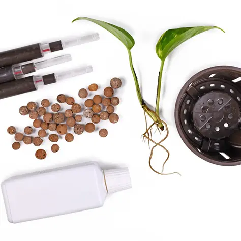 Epipremnum-Steckling mit LECA, Selbstbewässerungstopf, Wasserstandsanzeige und Flasche Flüssigdünger – arrangiert auf weißem Hintergrund Semi-Hydro erfordert Feingefühl – vom Wasserstandsanzeiger bis zur Nährlösung zählt jedes Detail.