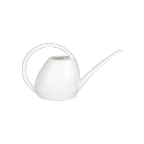 Aquarius watering can