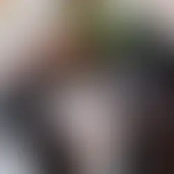 Hände halten eine wurzelnackte Anthurium crystallinum über einem transparenten Topf und grob strukturiertem Aroid-Substrat aus Rinde, Perlit und Kokosfaser