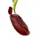 Thumbnail: Nepenthes  ‘Diana’