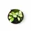 Thumbnail: Hoya heuschkeliana variegata