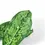 Miniaturbild: Dieffenbachia seguine 'Crocodile'