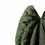 Thumbnail: Anthurium papillilaminum x luxurians