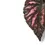 Thumbnail: Begonia rex 'Rumba'