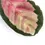 Thumbnail: Goeppertia (Calathea) roseopicta 'Silvia'