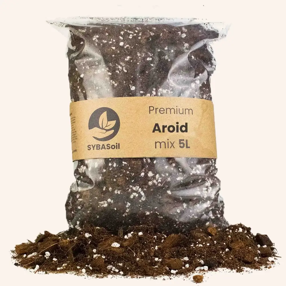 Aroid mix deals
